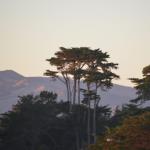 Cambria_CN_0068 (November 07, 2015)